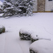 Some of the 4" of snow we got this morning, in less than 2 hours