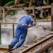 West Coast Wilderness Railway Tasmania