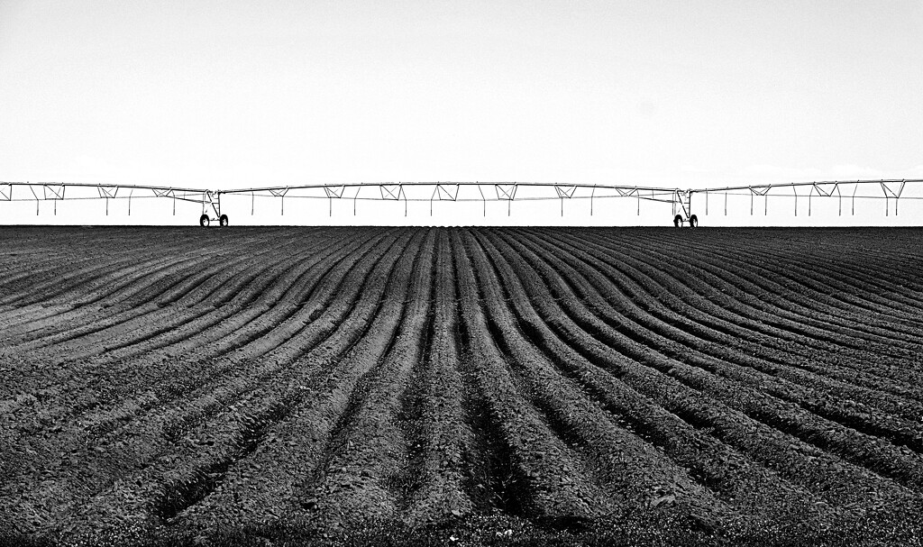 Ploughed potato paddock by leggzy