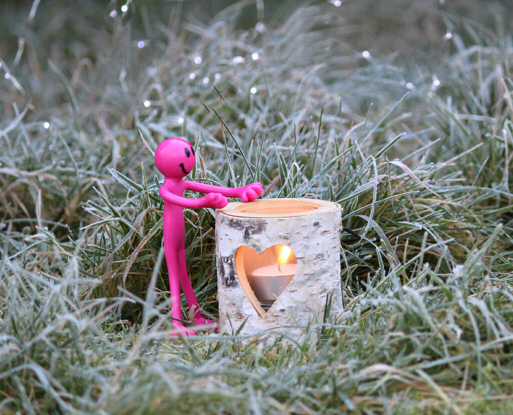 A Cold and Frosty  Morning.  by wendyfrost
