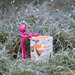 A Cold and Frosty  Morning. 