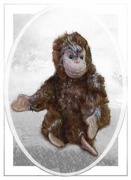 12th Feb 2025 - My Origins?