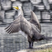 Directing Traffic by joysfocus