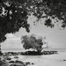 The Castaway by cocokinetic