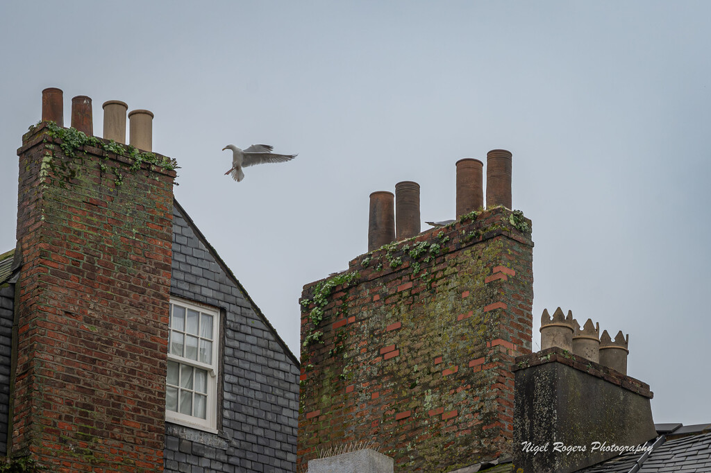 Cleared for landing on chimney four by nigelrogers