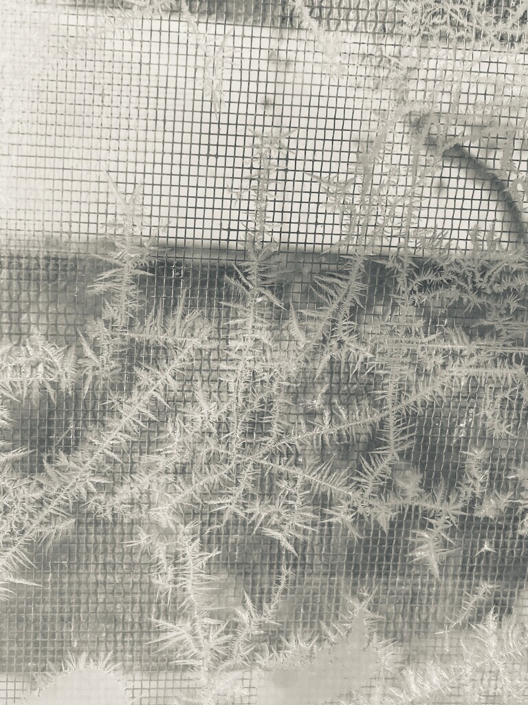 FOR17 - Composition by Jack Frost  by spanishliz