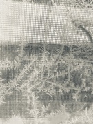 17th Feb 2025 - FOR17 - Composition by Jack Frost 