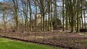 17th Feb 2025 - Gunby