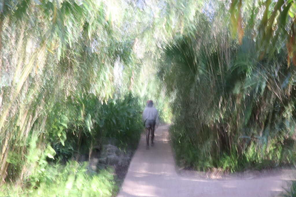 Walk in the park  by joemuli