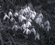 17th Feb 2025 - For17 composition