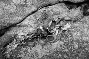 16th Feb 2025 - Trail Textures