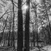Homestead Trail by kvphoto