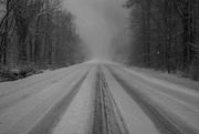 17th Feb 2025 - Into the white
