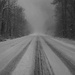 Into the white by darchibald