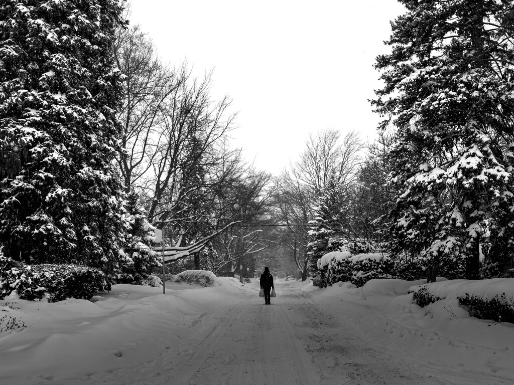 more snow... by northy