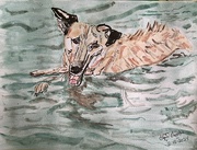 18th Feb 2025 - Fetching