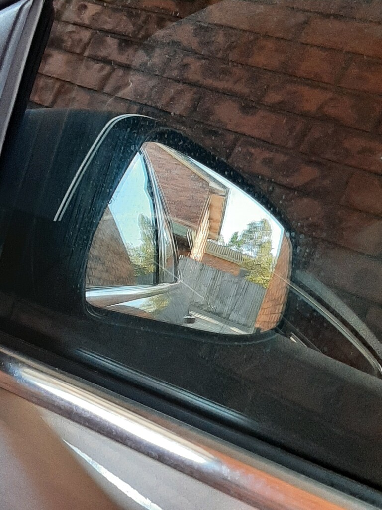 Reflections  by mozette