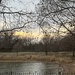 Fading light