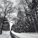 The Long and Winding Road by ljmanning