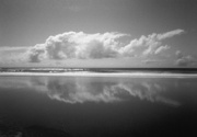 18th Feb 2025 - Unambiguous