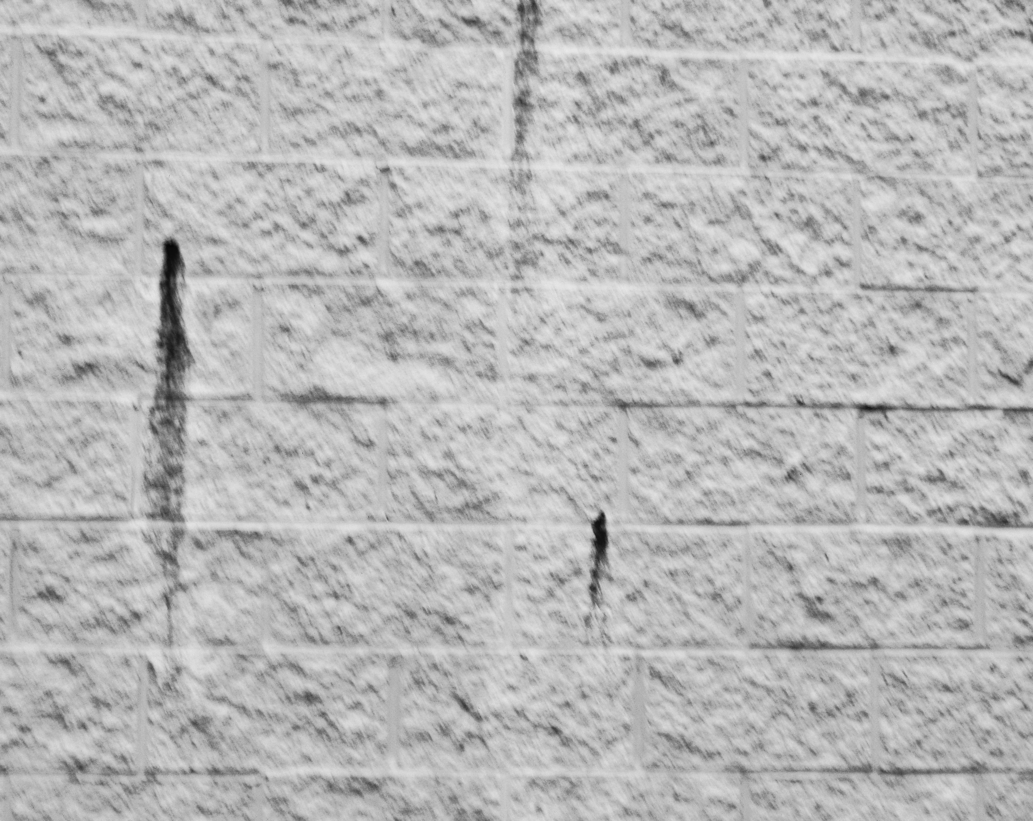 Rust Lines by Daisy Miller · 365 Project