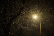 15th Feb 2025 - It just keeps snowing 
