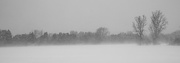 17th Feb 2025 - It never seems to stop
