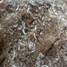 Ice on the deck... by marlboromaam