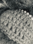 18th Feb 2025 - FOR18 - Texture