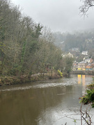 16th Feb 2025 - River Derwent