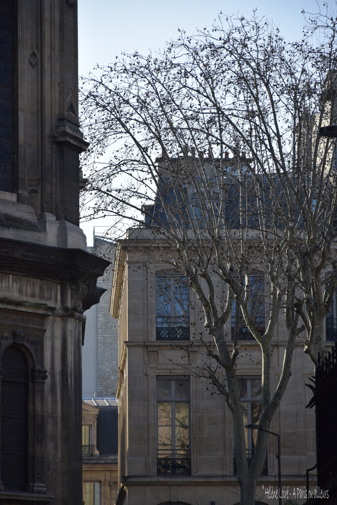 winter in Paris  by parisouailleurs