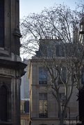 17th Feb 2025 - winter in Paris 