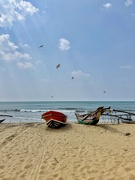 11th Feb 2025 - Negombo beach. 
