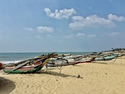 11th Feb 2025 - Boats in Negombo. 