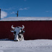 Lamb's Dairy by darchibald