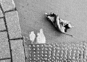 18th Feb 2025 - Remnant 