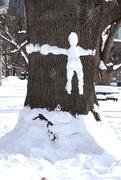 18th Feb 2025 - Tree Hugger