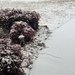 Feb 18: Iced in, Oklahoma