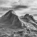 FOR - Composition  by radiogirl