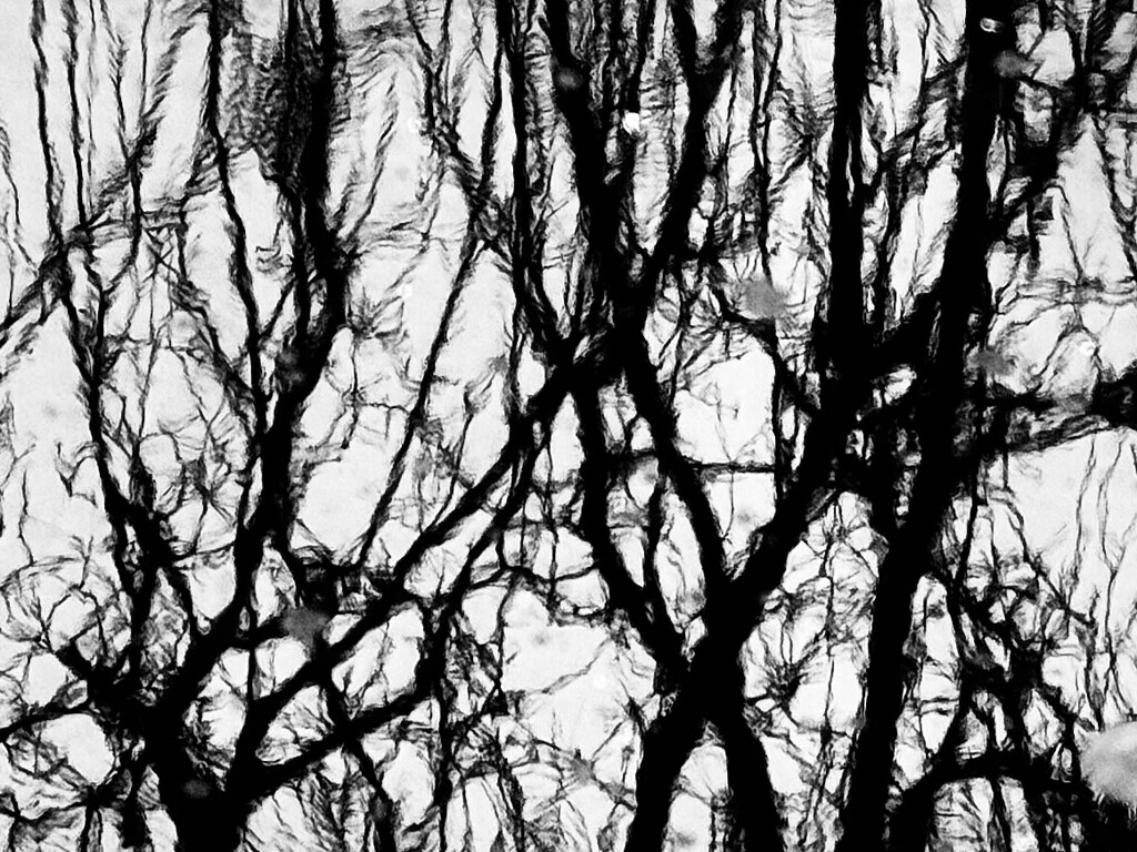 《墨韻天成》 _ Nature Resonance (46/365) by superbo
