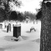 Snow Mounds by ljmanning