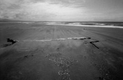 19th Feb 2025 - Relics