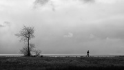 18th Feb 2025 - Lone Runner - FOR Day 18