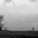 Lone Runner - FOR Day 18 by cdcook48