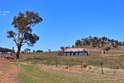 19th Feb 2025 - Old shearer's quarters