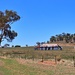 Old shearer's quarters by leggzy