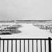 Out the window by edorreandresen