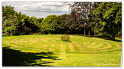 19th Feb 2025 - The Maze...