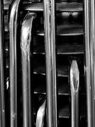 18th Feb 2025 - Guess