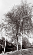 19th Feb 2025 - 
